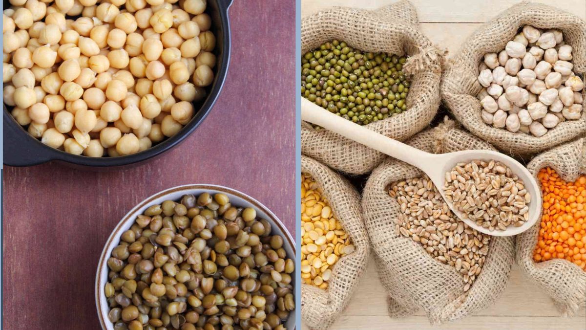 Chickpeas vs. Lentils: Which Offers More Fiber? Experts Weigh In