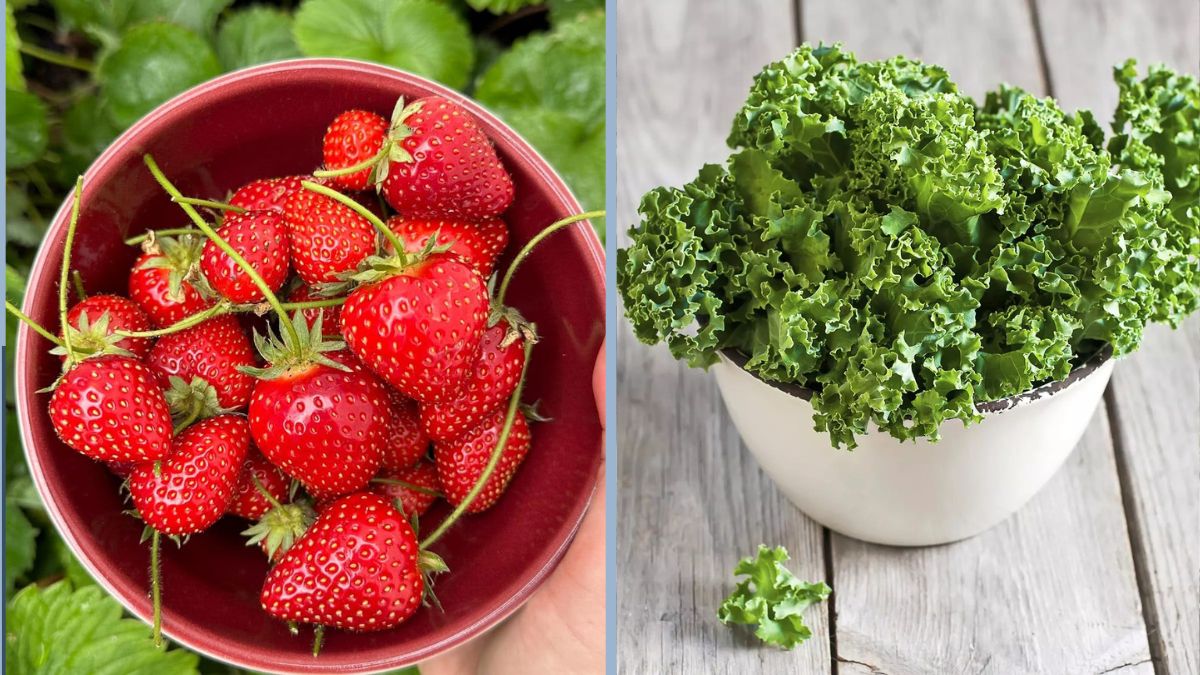 7 Foods With More Vitamin C Than Oranges