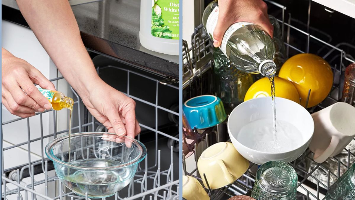 I used vinegar to clean my dishwasher and it smelled and looked spotless