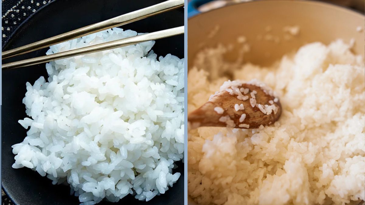 I Put a Bowl of Rice Near My Salt — and Humidity Stopped Ruining It